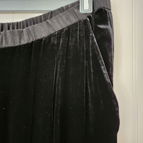 EILEEN FISHER Velvet Pants - Picture 4 of 11